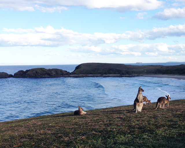 Roadtrip to Sydney