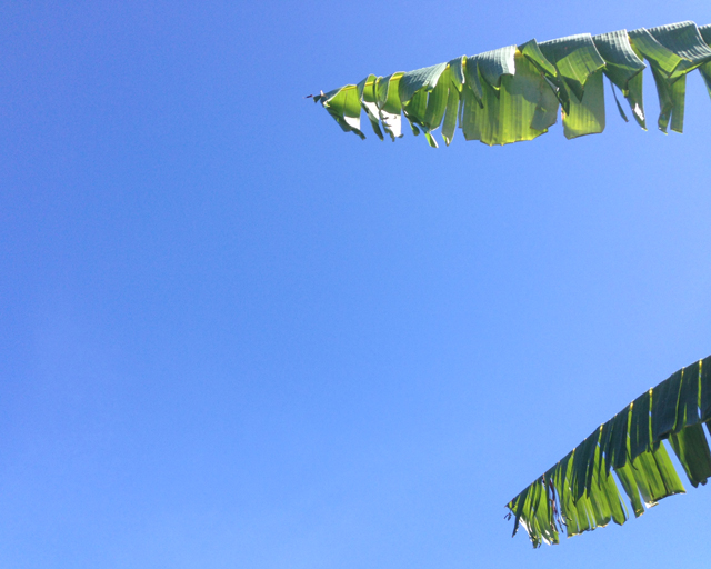 Blue Sky in Brisbane
